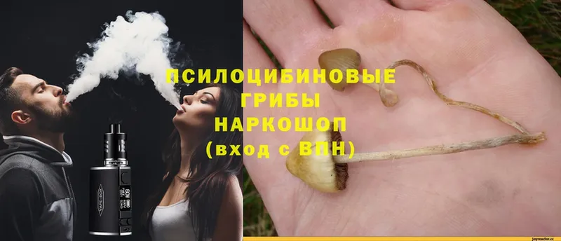 где найти наркотики  Бодайбо  Псилоцибиновые грибы Magic Shrooms 